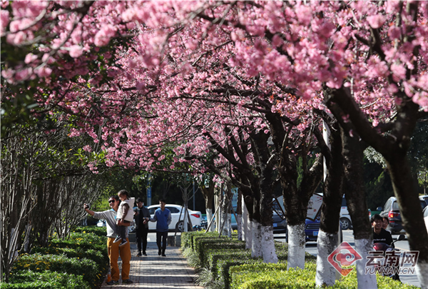 00300270135_c0af4fd8