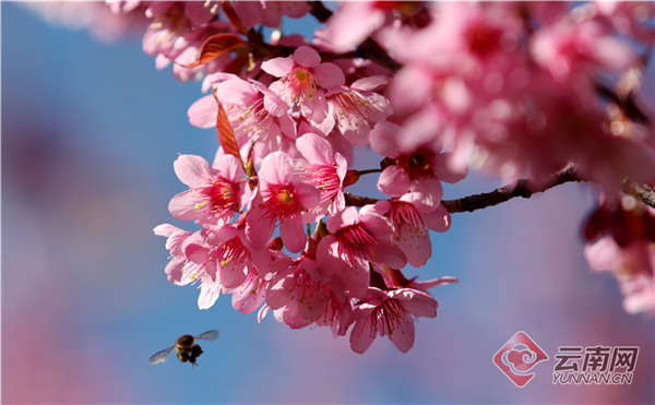 00300270138_0d51dd58