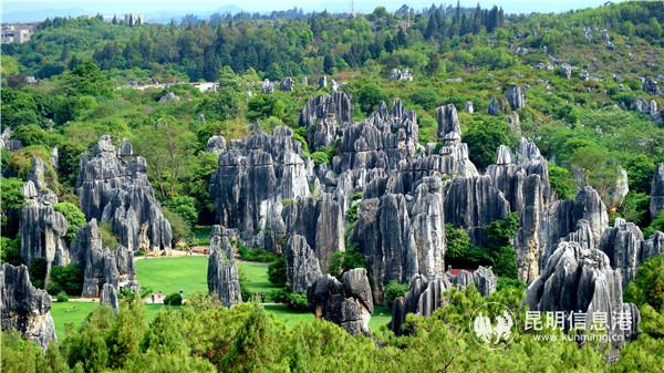 自2019年1月1日起，在石林投资或购房者可终身免费游石林。