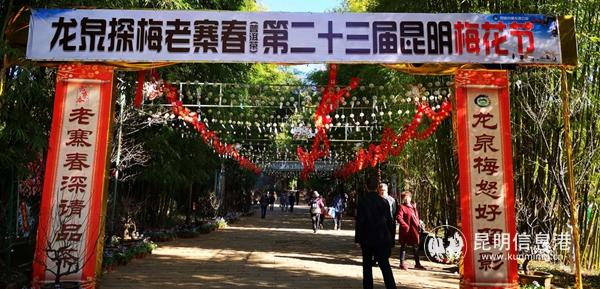 第二十三届昆明梅花节启幕。