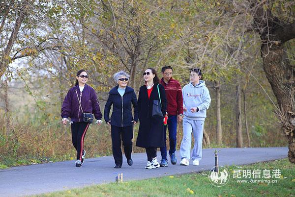 QQ截图20181213104233 QQ截图20181213104233