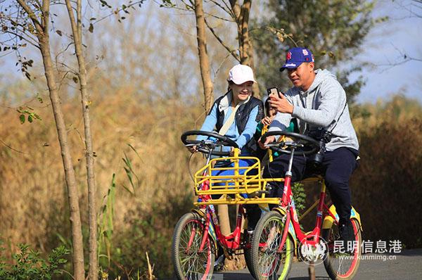 QQ截图20181213104244 QQ截图20181213104244