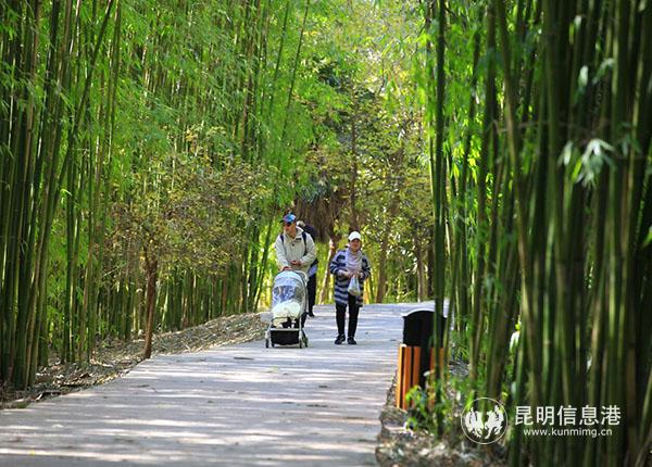 QQ截图20181213104330 QQ截图20181213104330