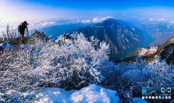 1210029205_15464786544611n