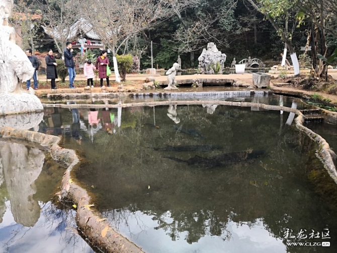 15459890887253988878306608515_153