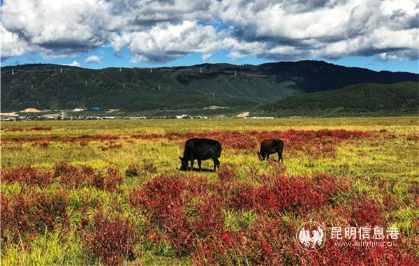 QQ图片20190111165251