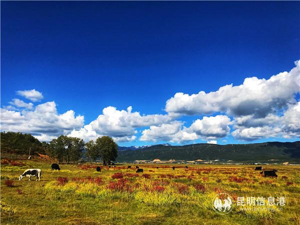 QQ图片20190111165257