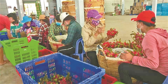 2019011605_res07_attpic_brief