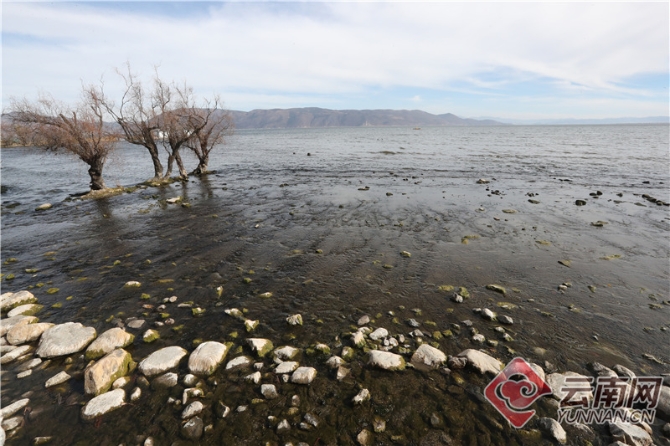 00300321682_ddb94d8c