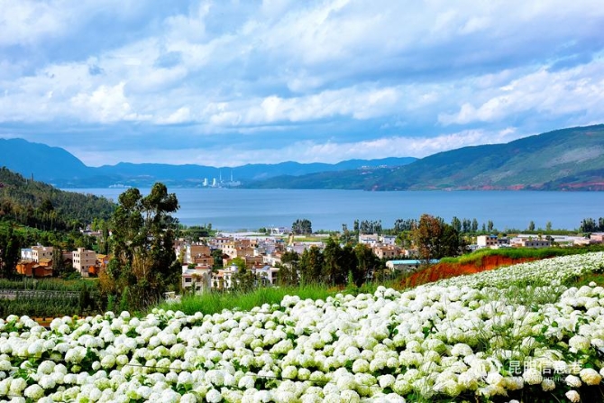 2..姓名：徐定忠 作品名称《俊美阳宗》拍摄地点：阳宗南国庄园 联系电话：15987109082