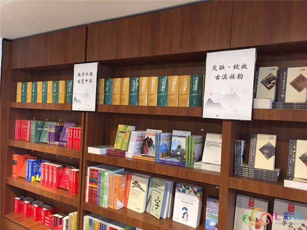 821ccc596b5a0101b42758ef03de9968