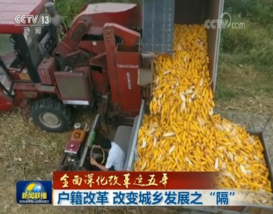 2019012019581024291 2019012019581024291