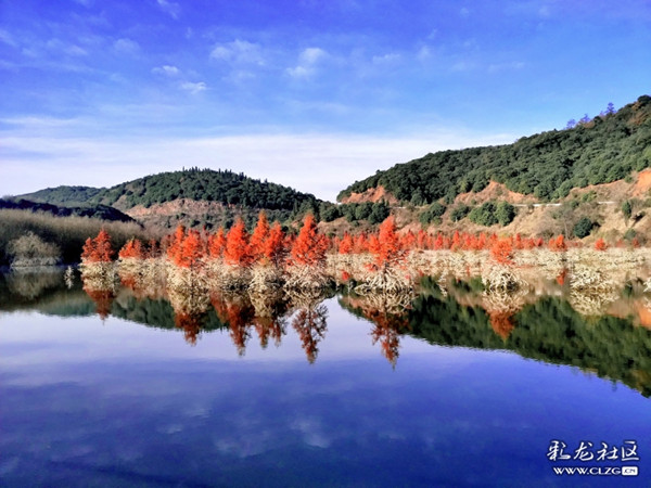 15479887756411139917232895122_5321