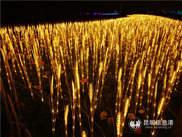 第二届华侨城世博新春灯会将带领游客进入一个奇妙梦幻的灯光世界。