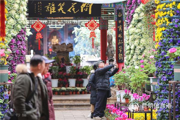 昙华寺公园内花团紧簇。彩龙网友松木有骨摄