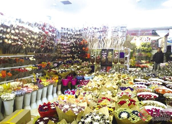 00300345205_ad8fa3f6