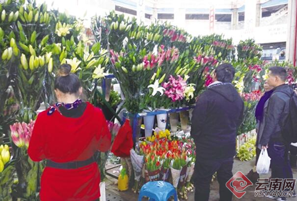 00300345207_dfa548da