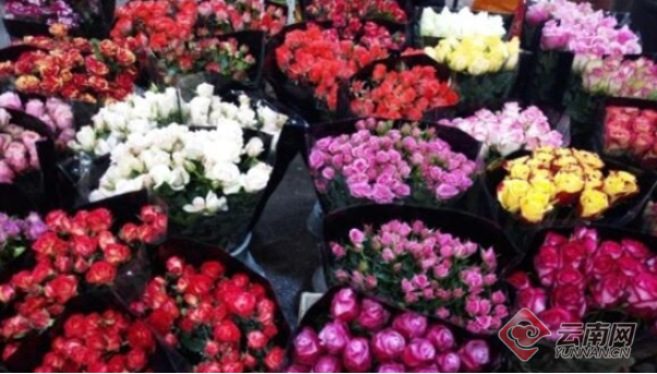 00300345234_f7ce7dd5