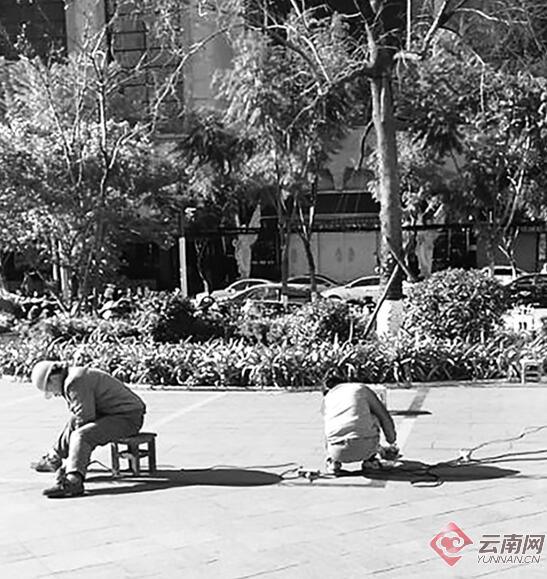 00300345212_1ac01476 00300345212_1ac01476