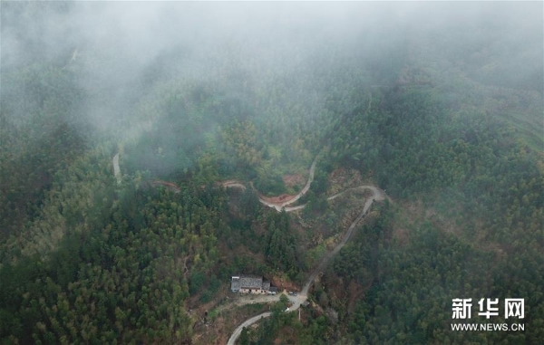 位于龙泉市牛头岭村群山之中的“七分醉”工作室（1月15日无人机拍摄）