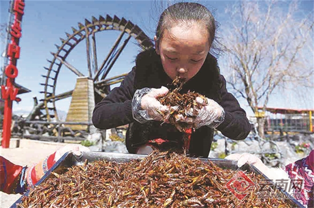 00300348316_7a5e90b6