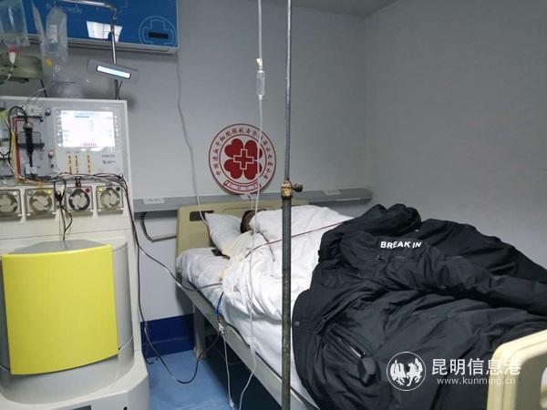 图片：造血干细胞采集中