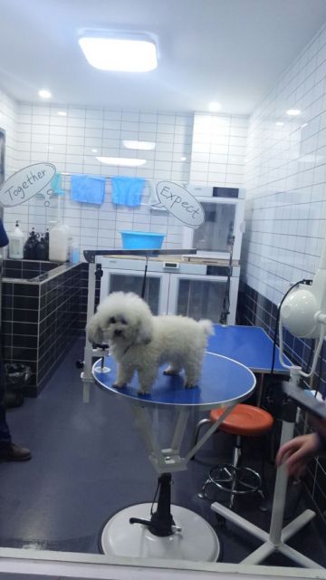 微信图片_20190128230731