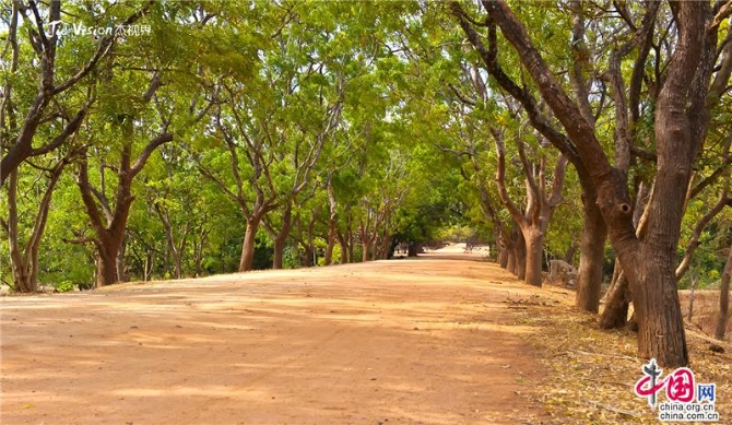 a6871459-a48b-48c5-86d6-28f1988891eb_batchwm