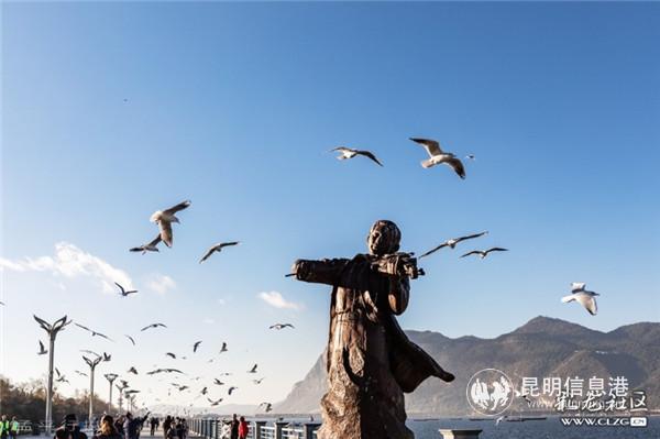 彩龙网友 松木有骨摄