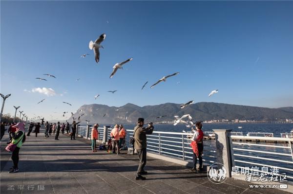 彩龙网友松木有骨摄
