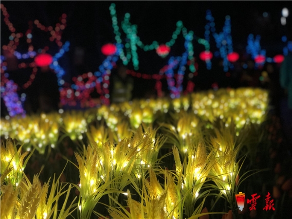 微信图片_20190131232822 微信图片_20190131232822