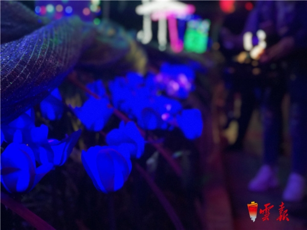 微信图片_20190131233013 微信图片_20190131233013