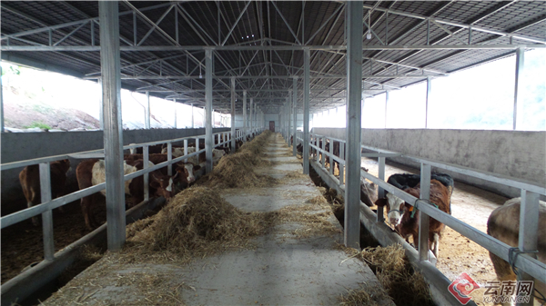 00300370921_12b2157e