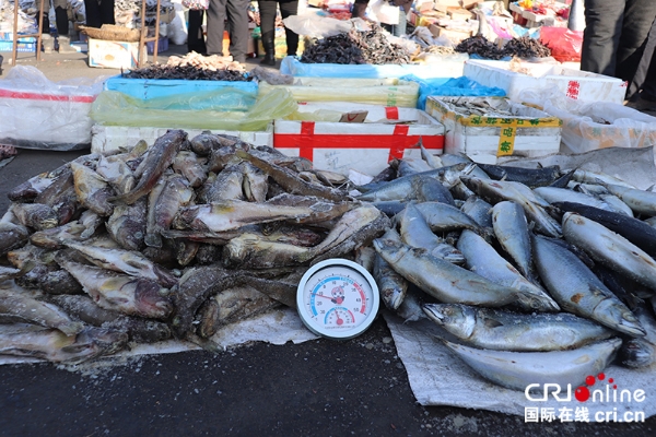 市场上销售各种冻鱼 市场上销售各种冻鱼