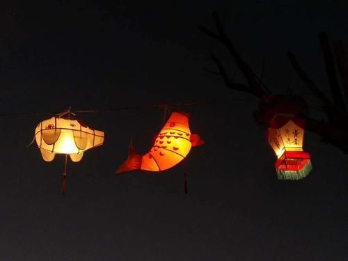 微信图片_20190203224312