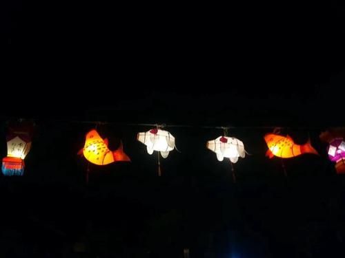 微信图片_20190203224314