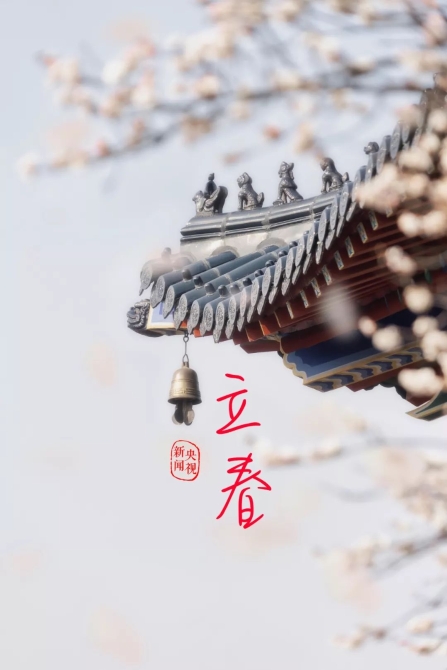 1549206833204_478_1080x1619