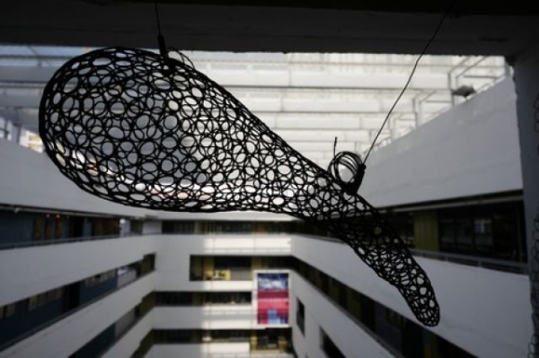 XxjwszC007003_20190205_CBMFN0A005.png@640w_1e_1c_80Q_1x XxjwszC007003_20190205_CBMFN0A005.png@640w_1e_1c_80Q_1x