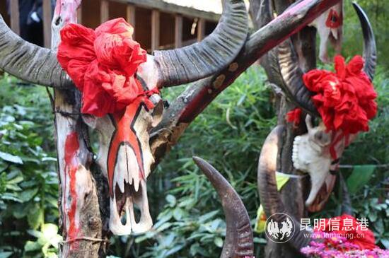 象征财富的牛头