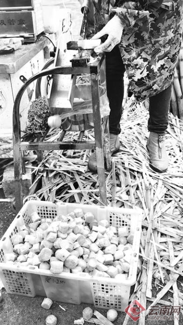 00300392974_6ae172a0