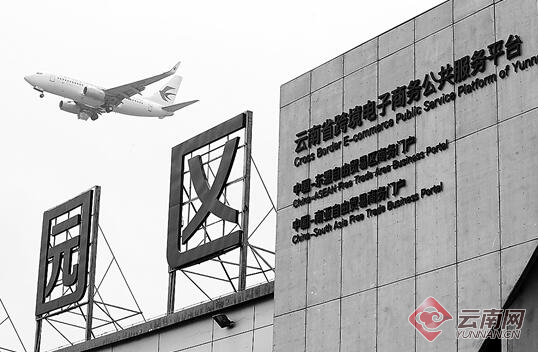 00300392971_5e581e4e