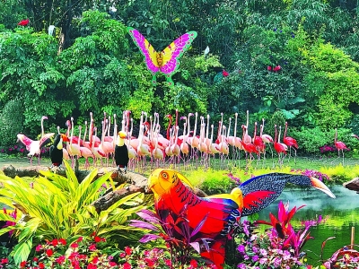 花动南国春色——我国南方地区早春美丽景象掠影