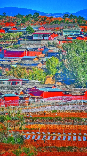 花动南国春色——我国南方地区早春美丽景象掠影