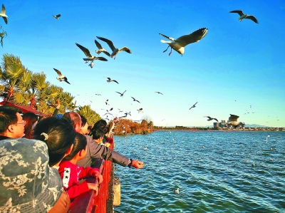 花动南国春色——我国南方地区早春美丽景象掠影