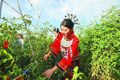 花动南国春色——我国南方地区早春美丽景象掠影