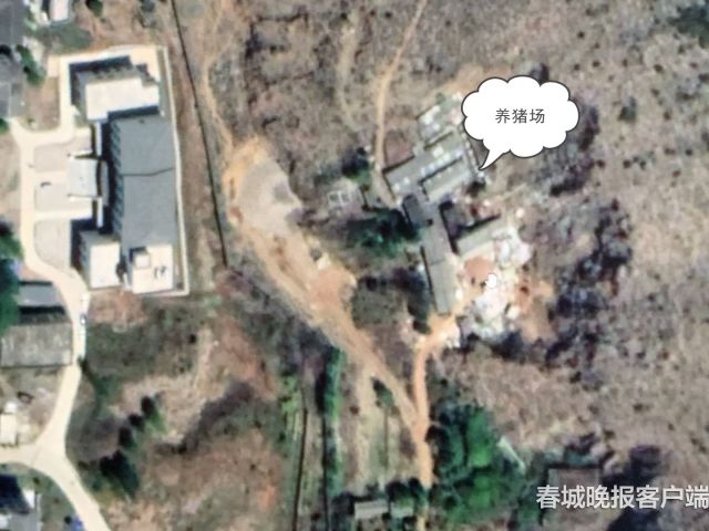 市民报料：丽江清溪水源二级保护区现养猪场 (5)