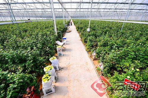 00300396085_f7e1d951 00300396085_f7e1d951