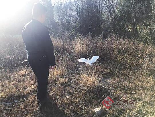 00300399492_1f08cacd