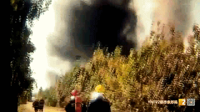 干花加工厂突发大火1