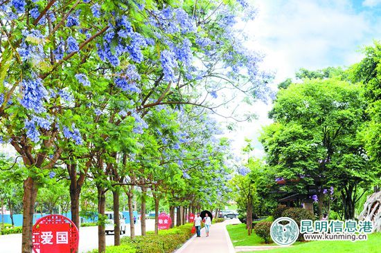 宜居安宁 宜居安宁